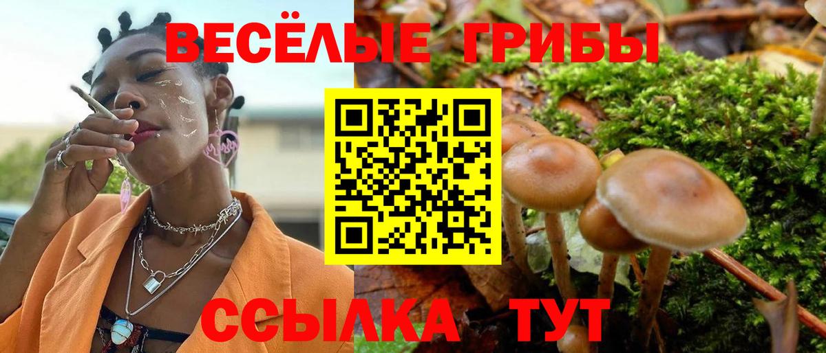 Усть-Илимск  Галлюциногенные грибы Cubensis  сколько стоит  Вход с VPN 